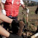 Cruz Roja por el planeta