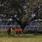 Planta solar Talayuela II de Statkraft, en Cáceres