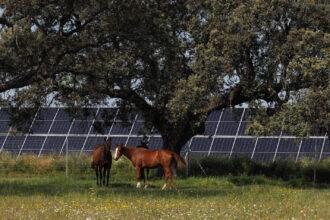 Planta solar Talayuela II de Statkraft, en Cáceres