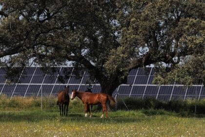 Planta solar Talayuela II de Statkraft, en Cáceres