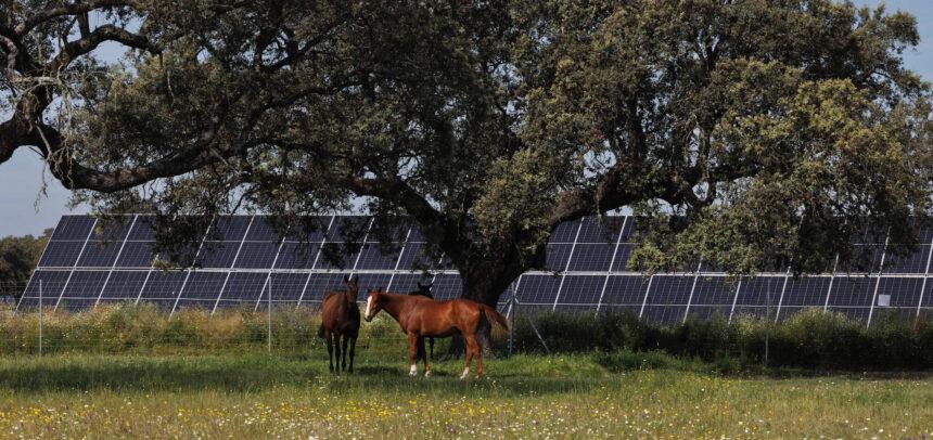 Planta solar Talayuela II de Statkraft, en Cáceres