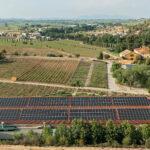 Sostenibilidad ambiental en los viñedos como parte del Plan Torres & Earth - Familia Torres