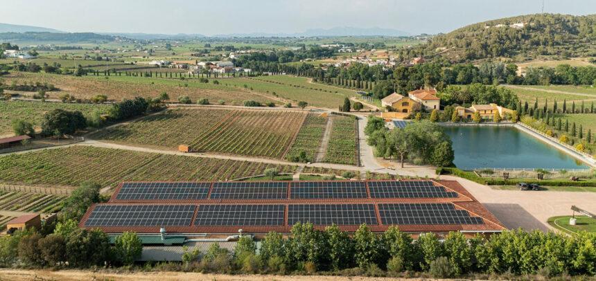 Sostenibilidad ambiental en los viñedos como parte del Plan Torres & Earth - Familia Torres