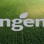 Syngenta Perú