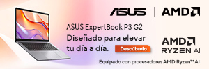 300x100_AMD