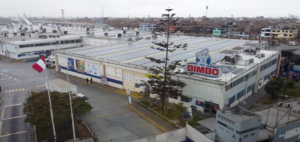 Bimbo
