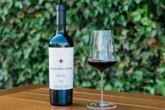 Pago del Cielo 2019, el vino icono de la bodega de la Familia Torres en Ribera del Duero