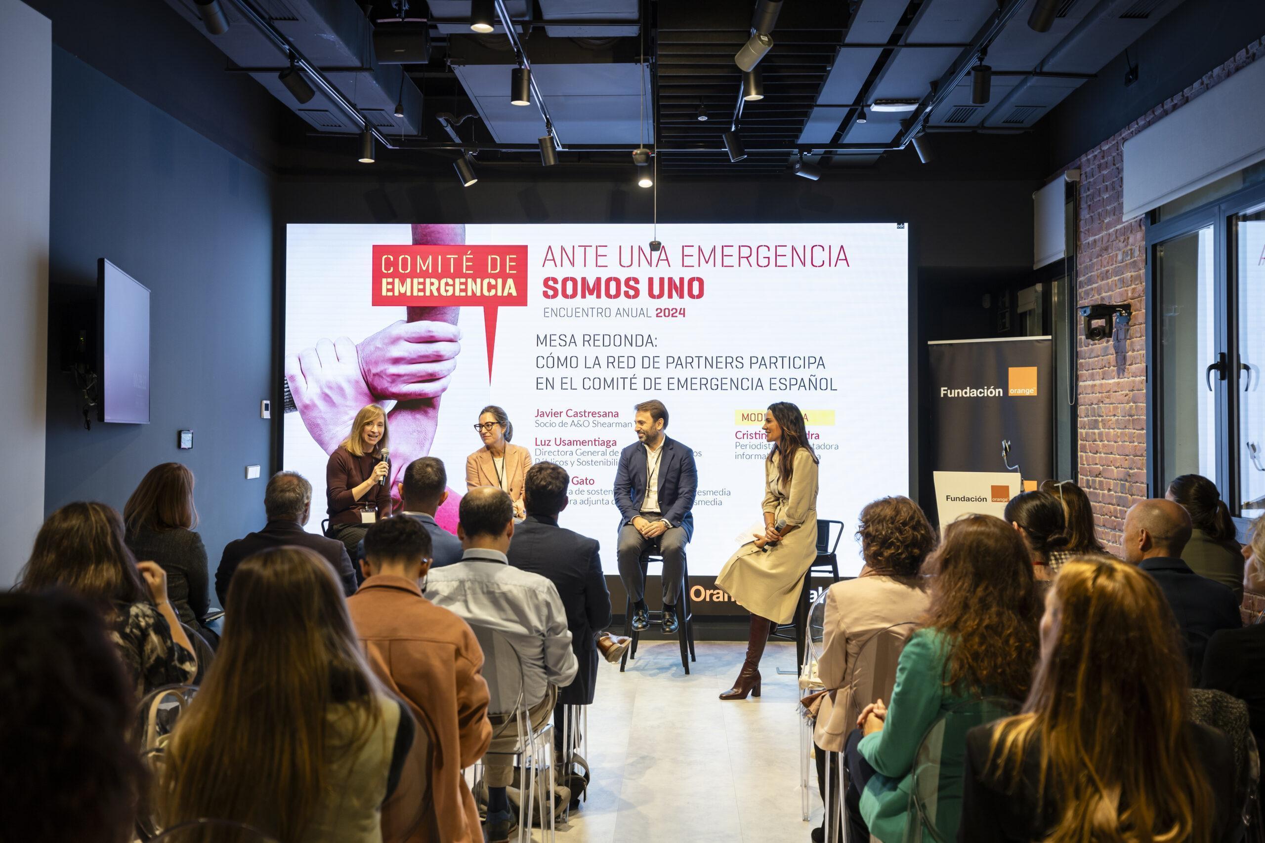 Red de partners debaten sobre la participación en el Comité de Emergencia Español durante el encuentro