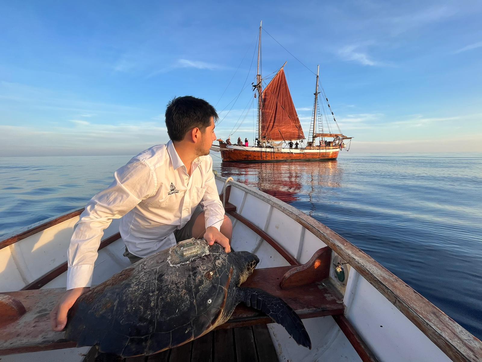 Rescate de tortugas por los voluntarios de Alnitak