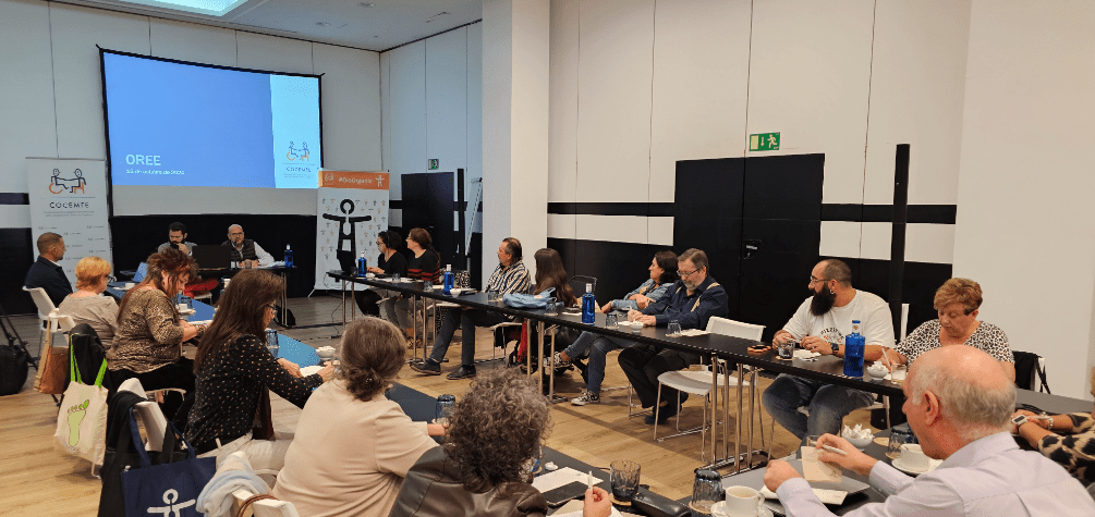 La financiación para los proyectos que realizan COCEMFE y su Movimiento Asociativo de carácter estatal con cargo al 0,7 ha experimentado un descenso cercano al 40% en los últimos cuatro años