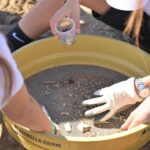 Recogida de microplásticos y otros residuos en “La Festa de la Platja"