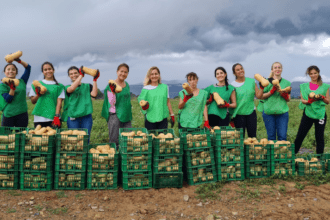 La iniciativa se enmarca en el Día Mundial de la Alimentación y forma parte del compromiso de la compañía con los entornos en los que opera y la sensibilización de sus equipos