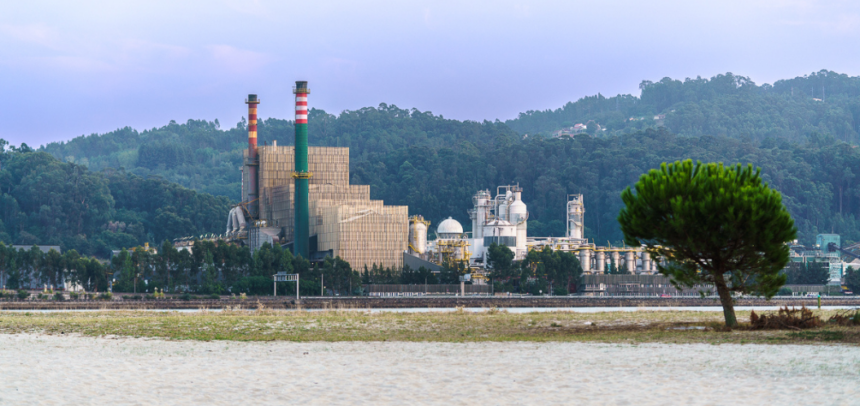 En los nueve primeros meses del año, la producción de celulosa aumentó un 4,6% hasta alcanzar 741.114 toneladas debido a la mayor actividad de la biofábrica de Pontevedra