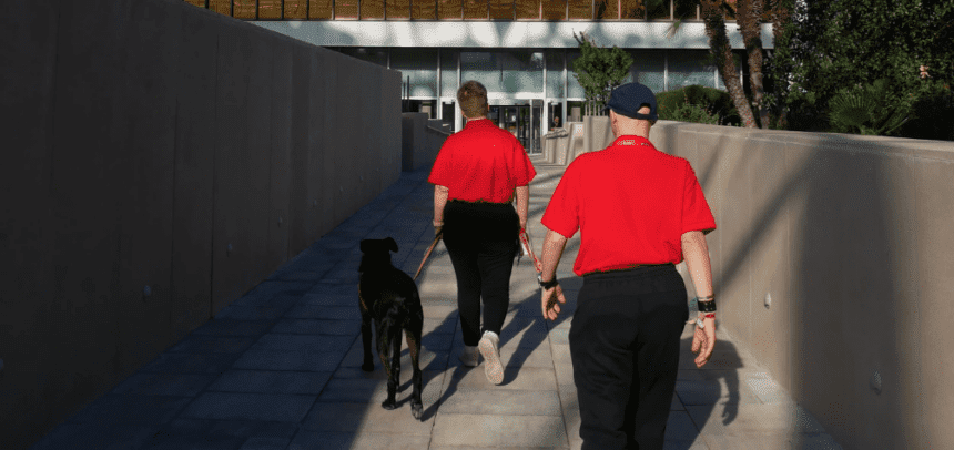 Con esta nueva iniciativa que se desarrolla en el campus de Nestlé, ubicado en Esplugues de Llobregat (Barcelona), se apoya a personas con discapacidad intelectual en el desarrollo de su futuro laboral