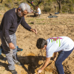 Convocatoria Innovación social y Protección del Medio Ambiente. Fundación Ibercaja