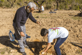 Convocatoria Innovación social y Protección del Medio Ambiente. Fundación Ibercaja