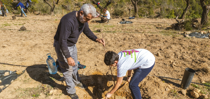 Convocatoria Innovación social y Protección del Medio Ambiente. Fundación Ibercaja