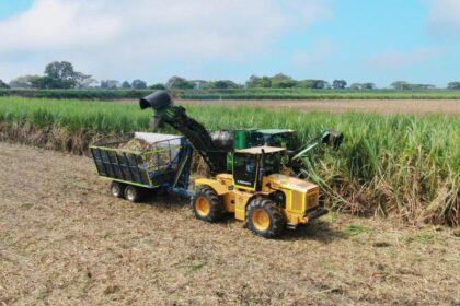 Incauca moderniza su cosecha y elimina la quema de caña