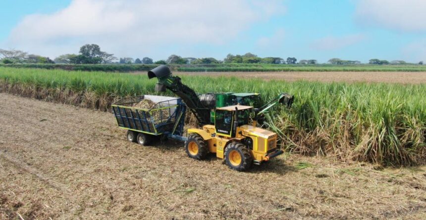 Incauca moderniza su cosecha y elimina la quema de caña