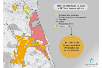 De las hectáreas inundadas, 22.557 corresponden a frutales y 16.368 a los arrozales