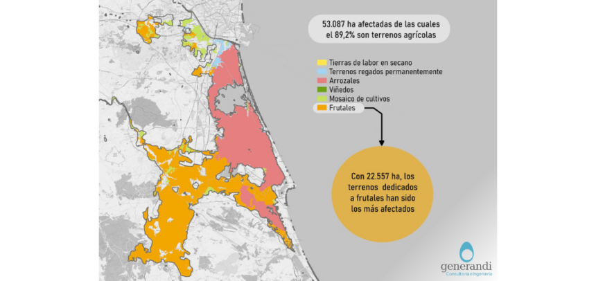 De las hectáreas inundadas, 22.557 corresponden a frutales y 16.368 a los arrozales