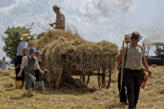 agricultura menonita