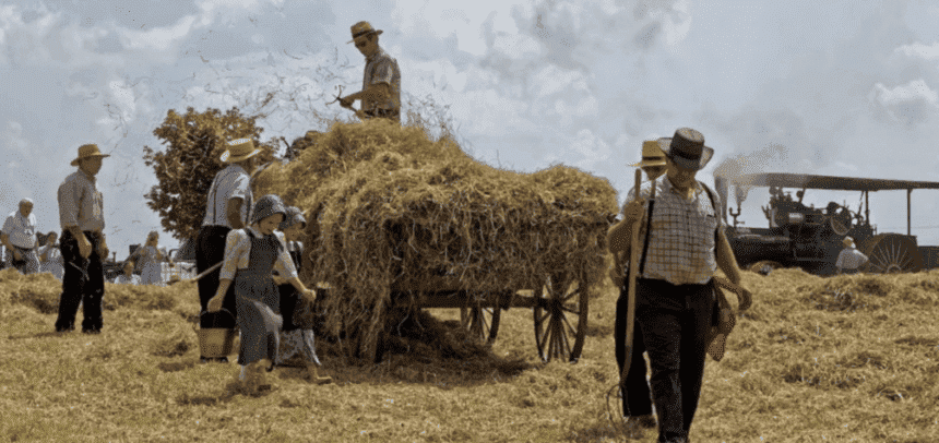 agricultura menonita