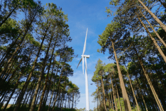 Este tipo de proyectos de energías limpias, permiten ganar una mayor autonomía energética y tener una mayor garantía de suministro sin depender de terceros países y de los combustibles fósiles