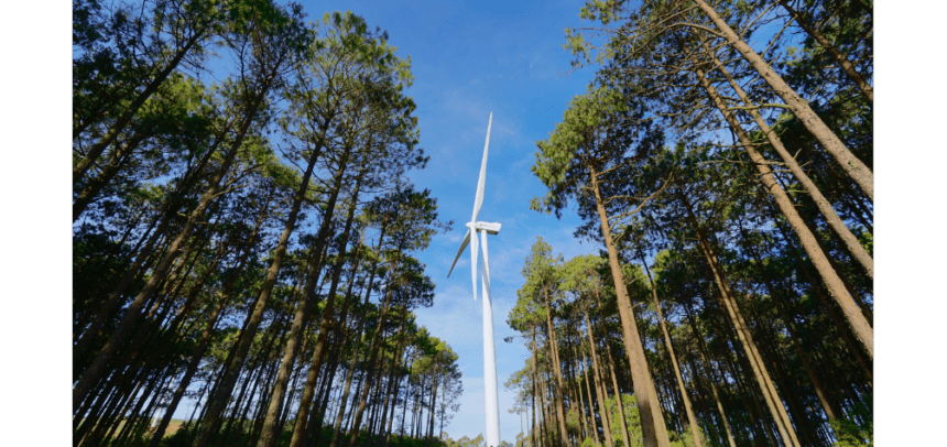 Este tipo de proyectos de energías limpias, permiten ganar una mayor autonomía energética y tener una mayor garantía de suministro sin depender de terceros países y de los combustibles fósiles