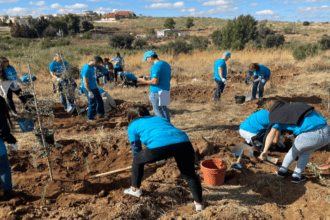 Voluntarios de Suntory Beverage & Food Spain reforestando