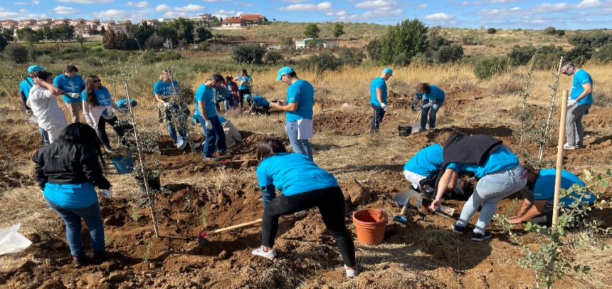 Voluntarios de Suntory Beverage & Food Spain reforestando