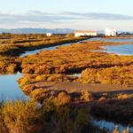 Delta de l'Ebre - Imagen cedida por Nactiva