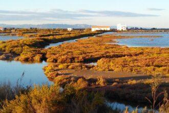 Delta de l'Ebre - Imagen cedida por Nactiva