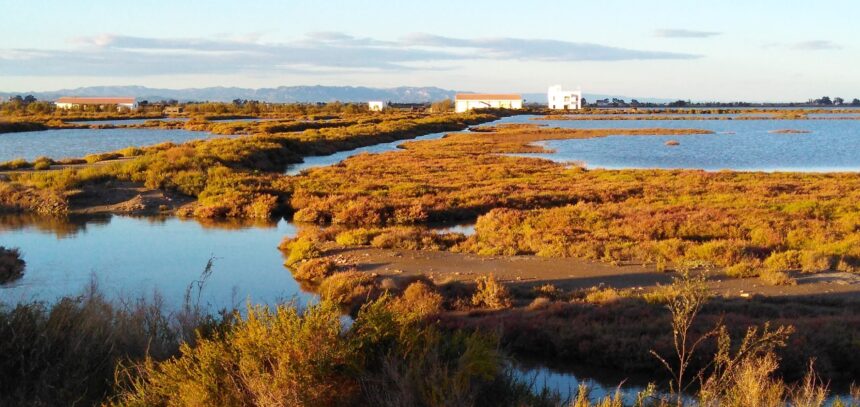 Delta de l'Ebre - Imagen cedida por Nactiva