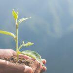 Día de la educación ambiental: Cinco tips para cuidar el planeta… y tu bolsillo