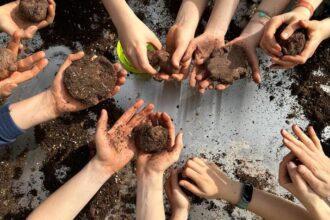 Smart Green Trees: cómo inspirar a niños y mayores para regenerar los bosques de España a través de talleres de Nendo Dango