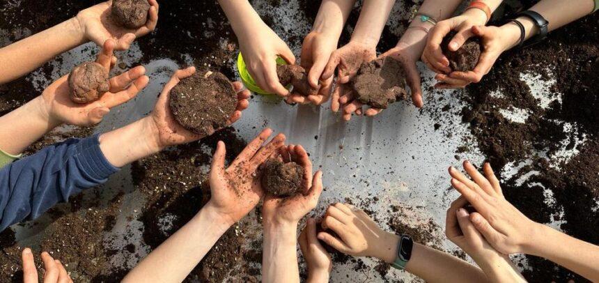 Smart Green Trees: cómo inspirar a niños y mayores para regenerar los bosques de España a través de talleres de Nendo Dango