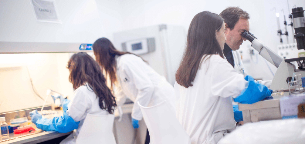 Lanza su convocatoria anual de Ayudas a la Investigación Médica a las que ha destinado más de 70 millones de euros en los últimos 21 años