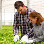 Argentina tiene potencial para liderar la salud ambiental, humana y animal con buenas prácticas agrícolas y trazabilidad