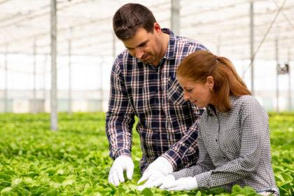 Argentina tiene potencial para liderar la salud ambiental, humana y animal con buenas prácticas agrícolas y trazabilidad