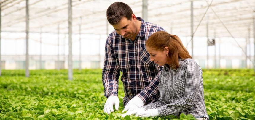 Argentina tiene potencial para liderar la salud ambiental, humana y animal con buenas prácticas agrícolas y trazabilidad