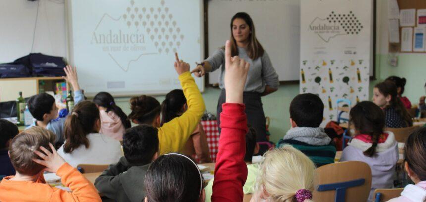 Iniciativa educativa "Andalucía: un mar de olivos" - Fundación Ibercaja