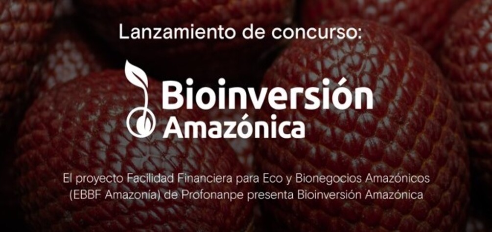 Lanzamiento de concurso: Bioinversión Amazónica