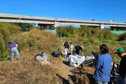 Puente Industrial refuerza su compromiso ambiental con la limpieza y conservación del Humedal Los Batros