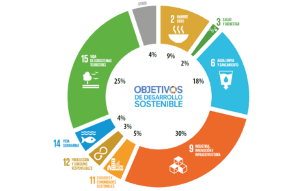 Gráfico ODS 2024