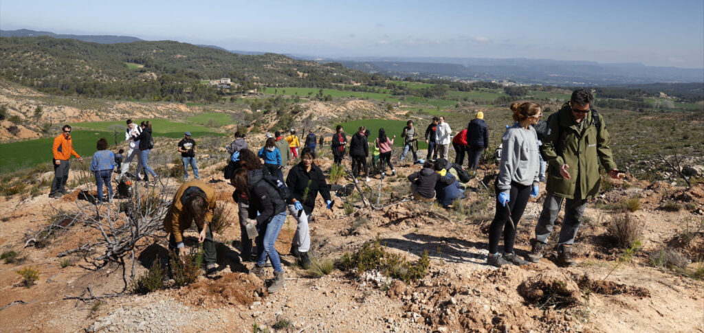 Empleados AstraZeneca reforestando Sant Martí de Tous (Barcelona)