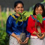 Perú supera el millón de hectáreas certificadas en manejo forestal responsable