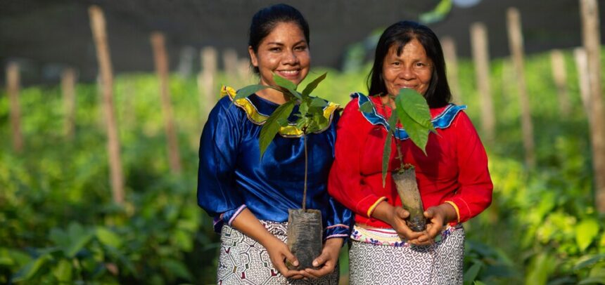 Perú supera el millón de hectáreas certificadas en manejo forestal responsable