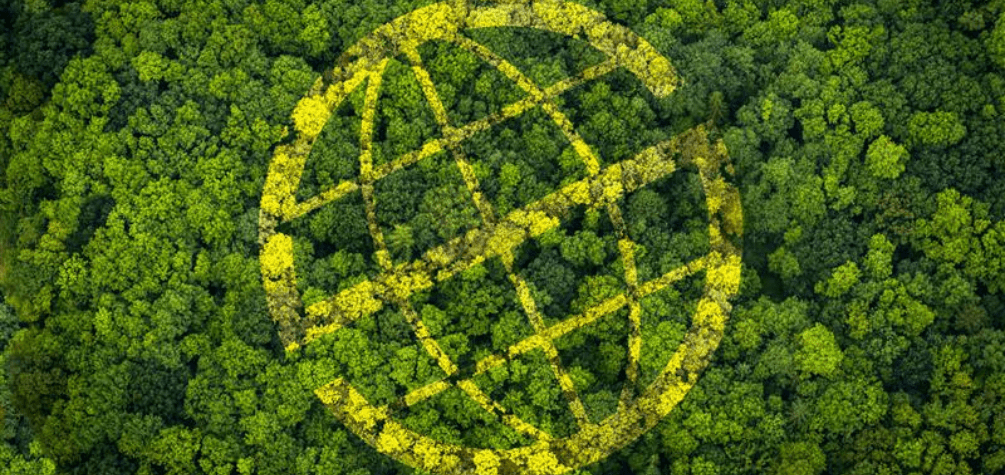 El compromiso de Prosegur con la compra sostenible apoya el creciente movimiento de organizaciones que las utilizan como una palanca para el cambio positivo