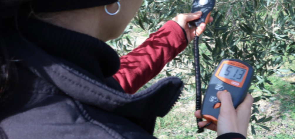 El equipo técnico de Fundación Global Nature realizando mediciones en olivares y viñedos
